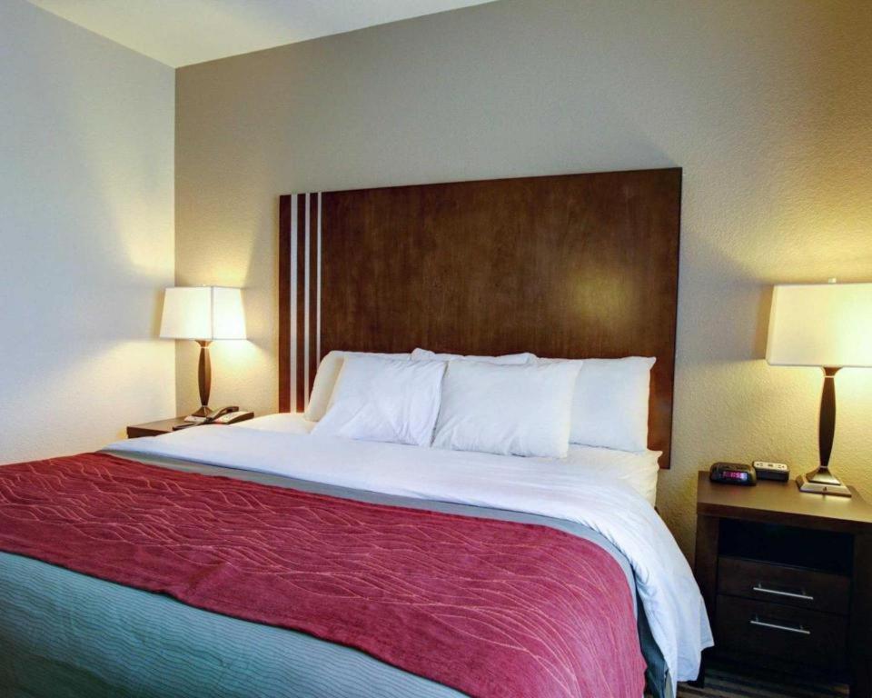 Comfort Inn & Suites Navasota Exterior foto