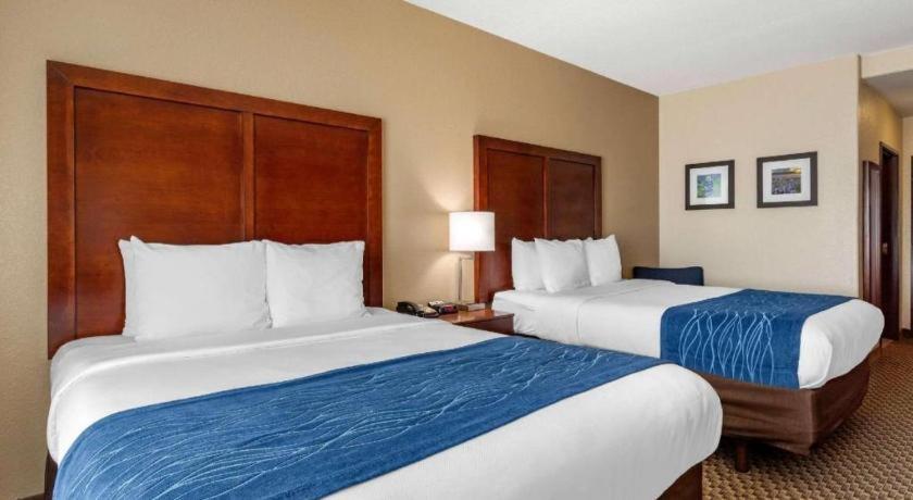 Comfort Inn & Suites Navasota Exterior foto