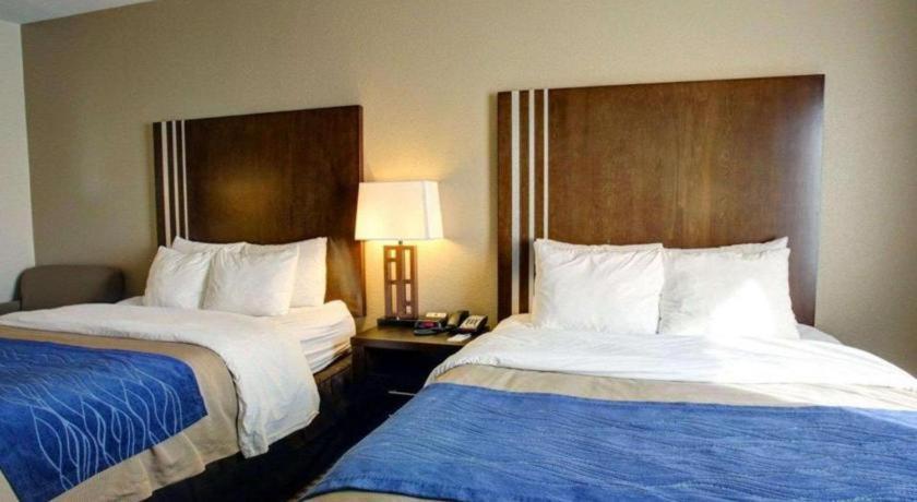 Comfort Inn & Suites Navasota Exterior foto